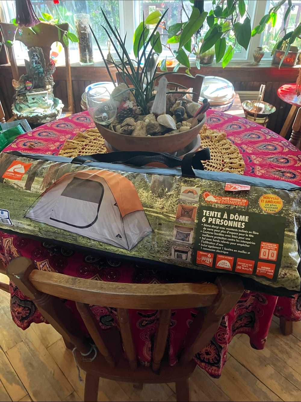 Ozark Trail 6-Person Orange and Gray Dome Tent
